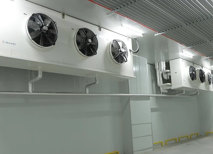 Cold Chain Warehouse Automation Solutions