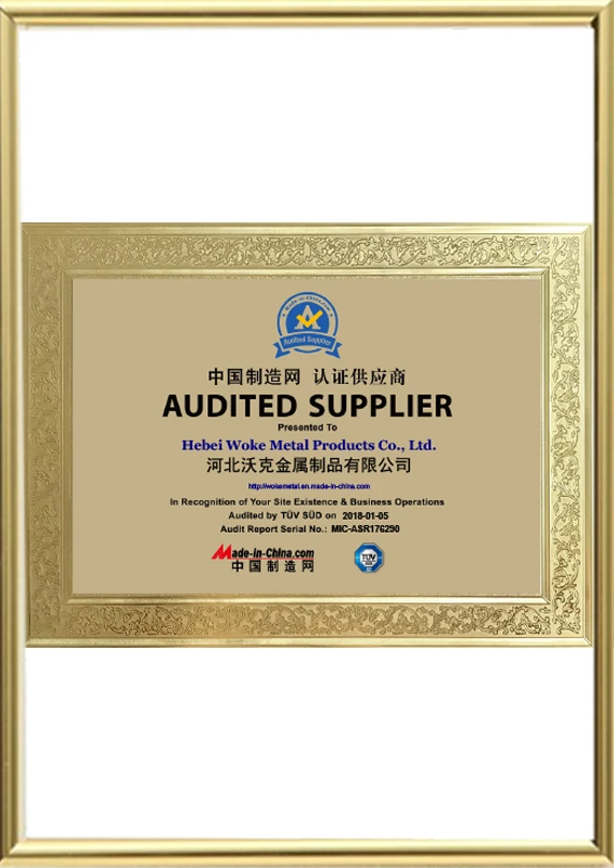 T&Uuml;V S&Uuml;D Certified Audited Supplier