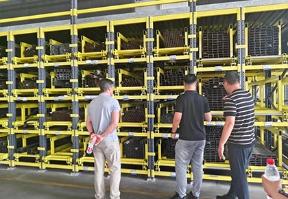 Brazilian Customers Visit HEGERLS to Explore Intelligent Warehouse Automation Solutions
