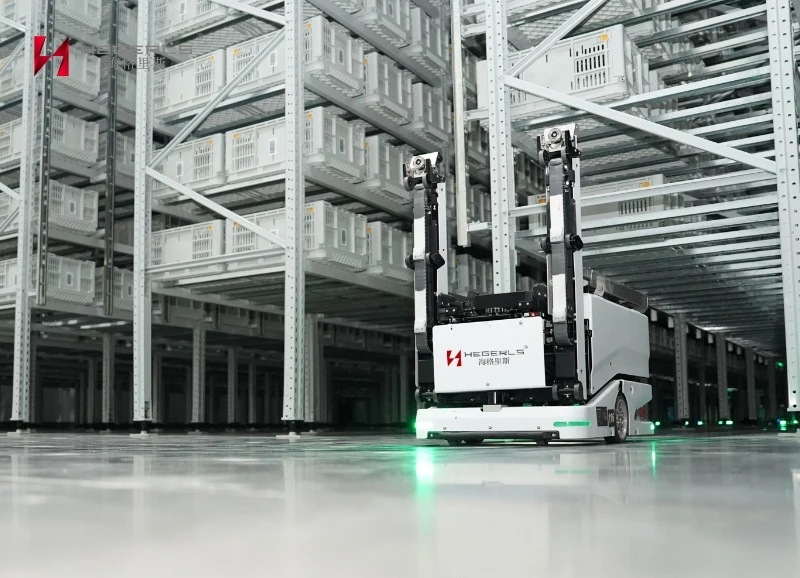 Climbing Warehouse Robot