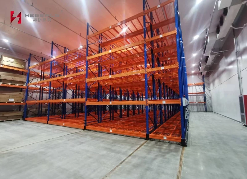 HEGERLS Mobile Racking System