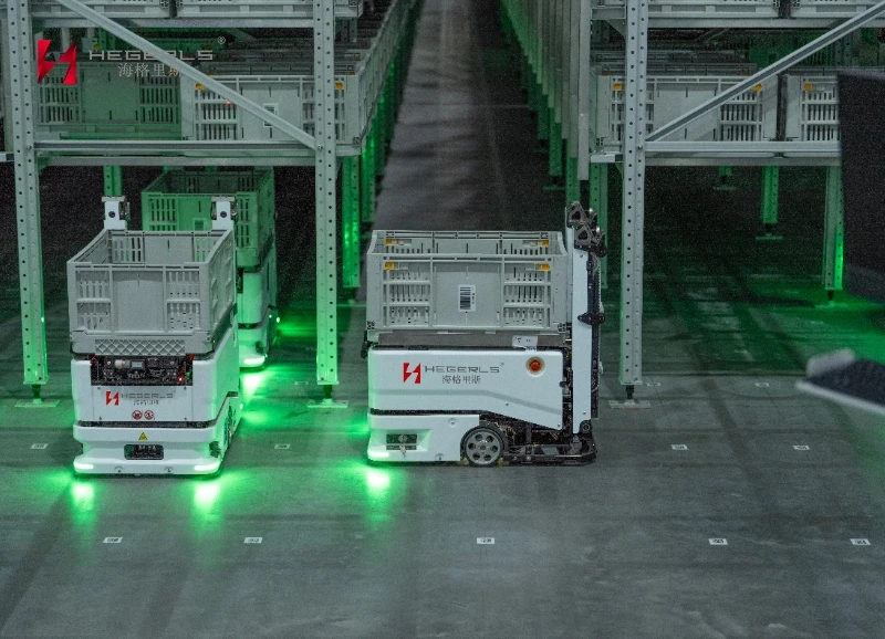 Climbing Warehouse Robot