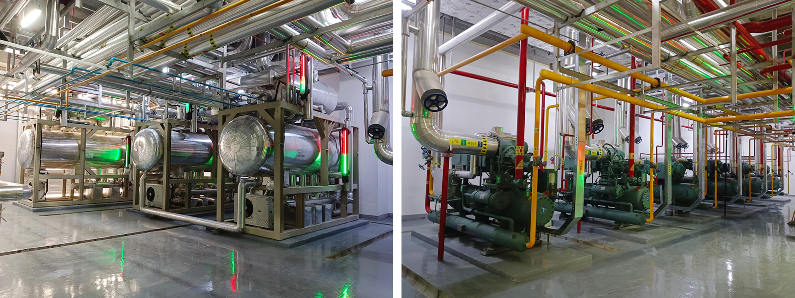 Cold Chain Warehouse Automation Solutions