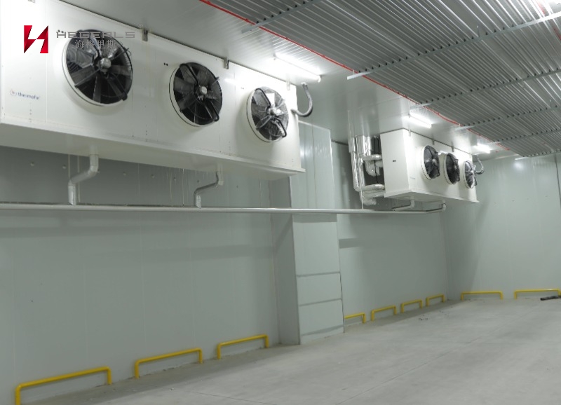 Cold Storage & Refrigeration Equipment