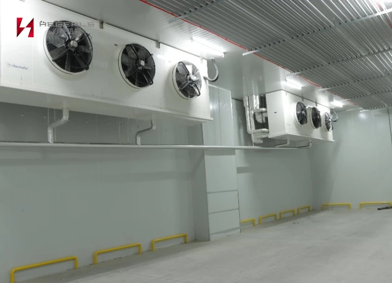 Cold Storage & Refrigeration Equipment
