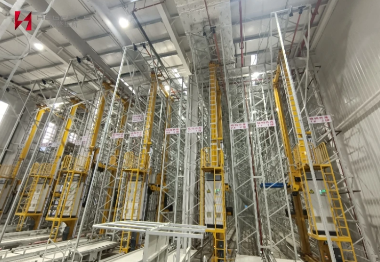 HEGERLS High Bay ASRS Racking
